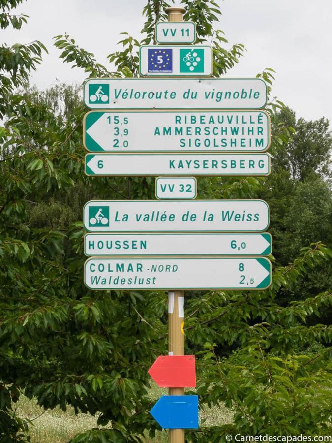 Coeur D'Alsace Colmar Vignobles Ouest Avec Terrasses Villa Винценайм Екстериор снимка