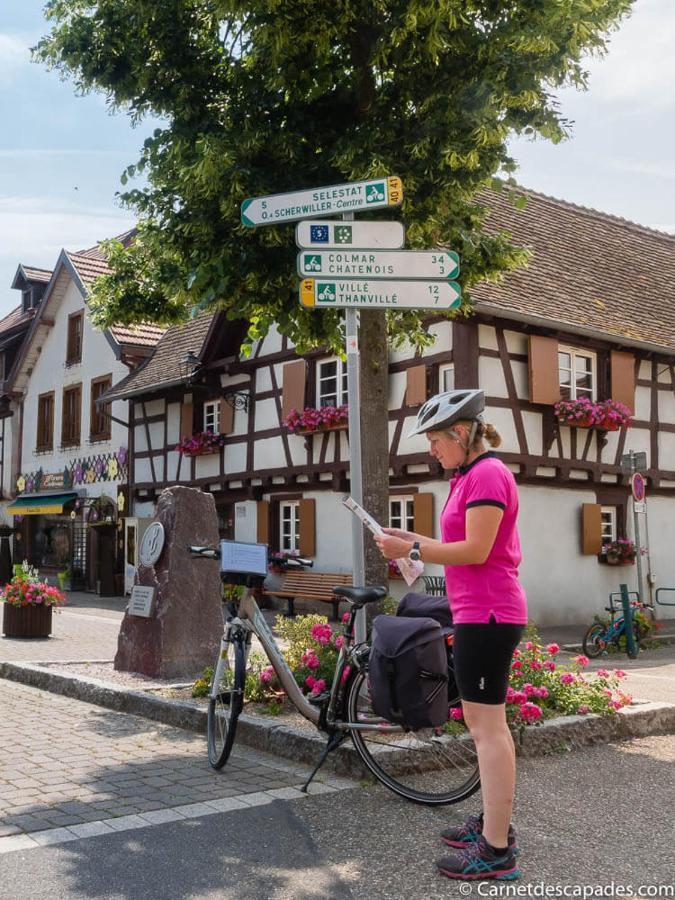 Coeur D'Alsace Colmar Vignobles Ouest Avec Terrasses Villa Винценайм Екстериор снимка