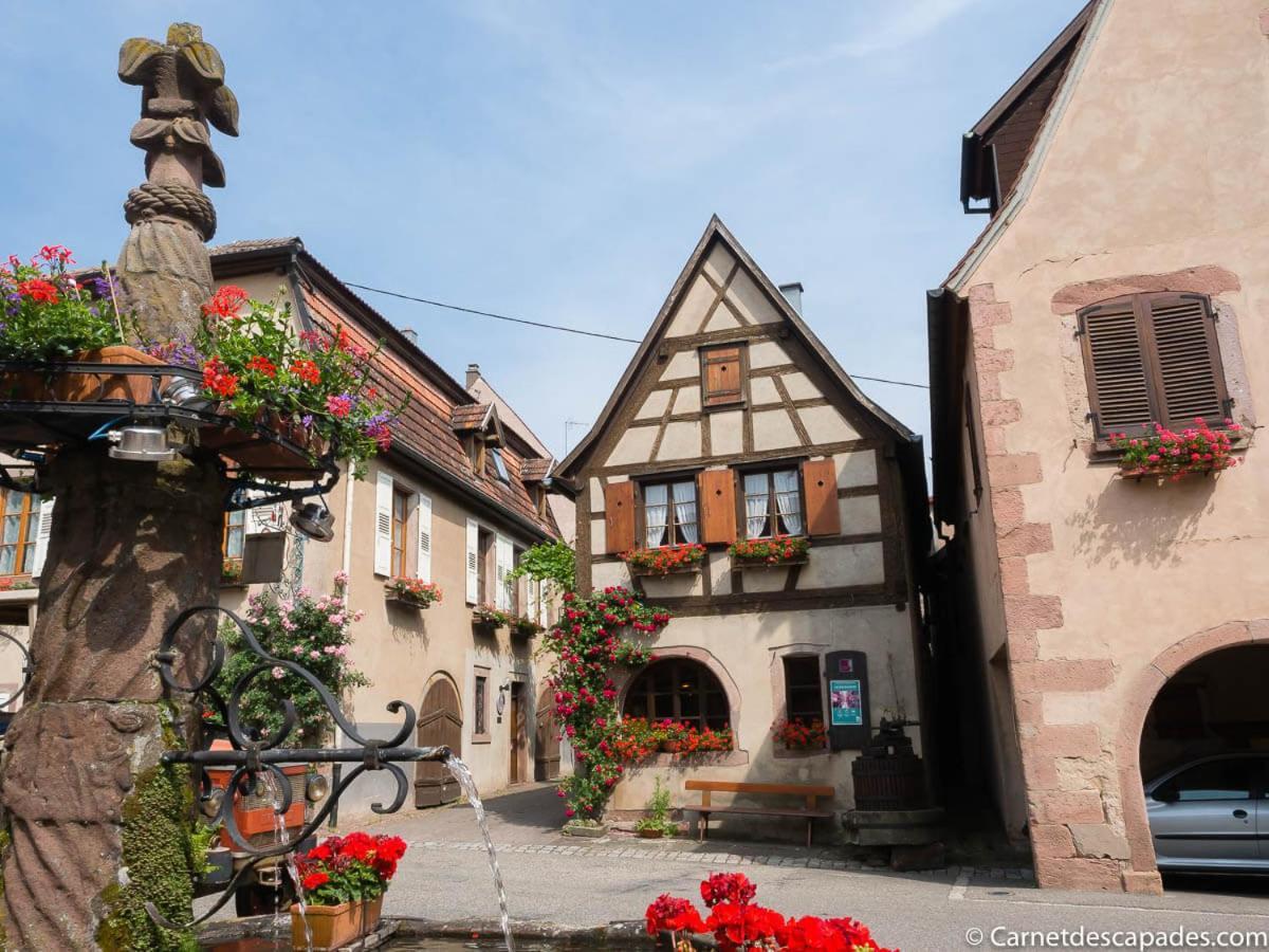 Coeur D'Alsace Colmar Vignobles Ouest Avec Terrasses Villa Винценайм Екстериор снимка