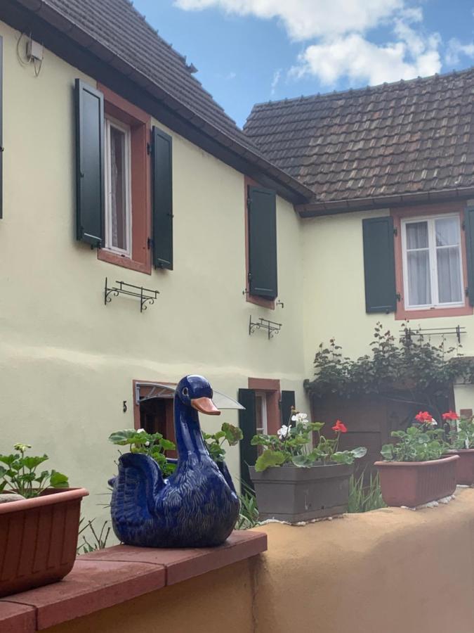 Coeur D'Alsace Colmar Vignobles Ouest Avec Terrasses Villa Винценайм Екстериор снимка
