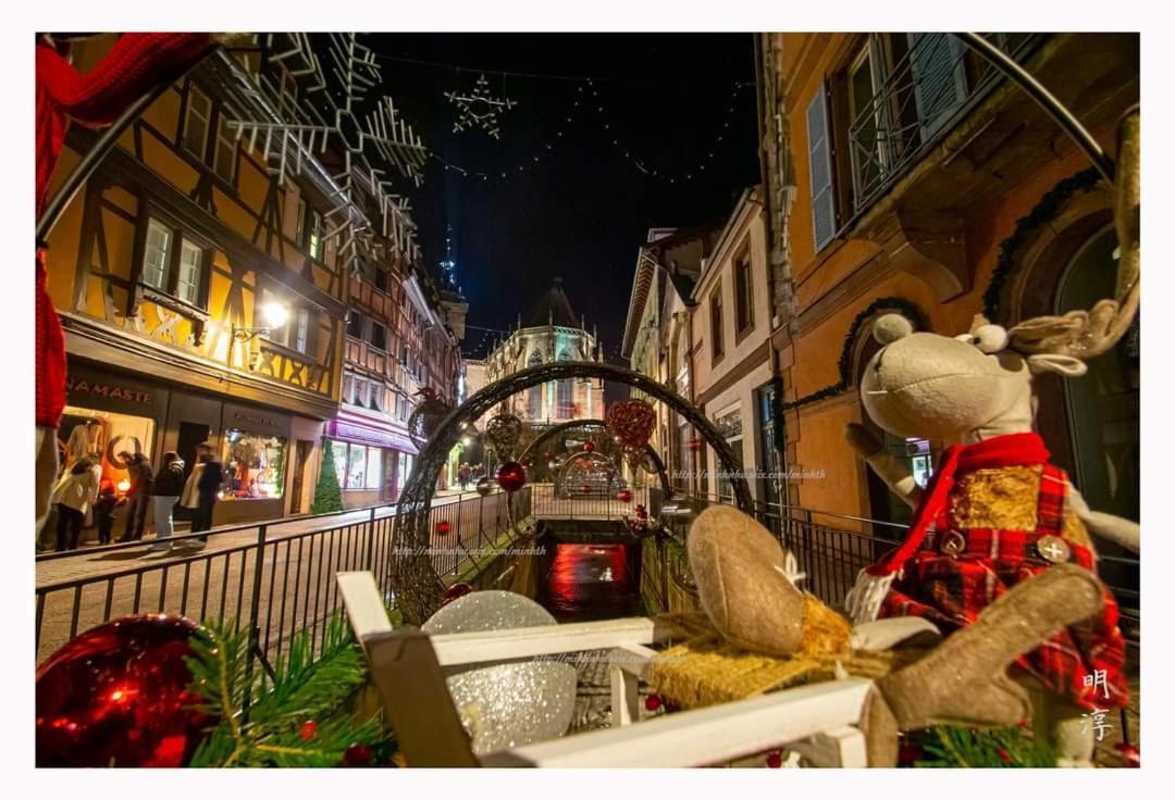 Coeur D'Alsace Colmar Vignobles Ouest Avec Terrasses Villa Винценайм Екстериор снимка