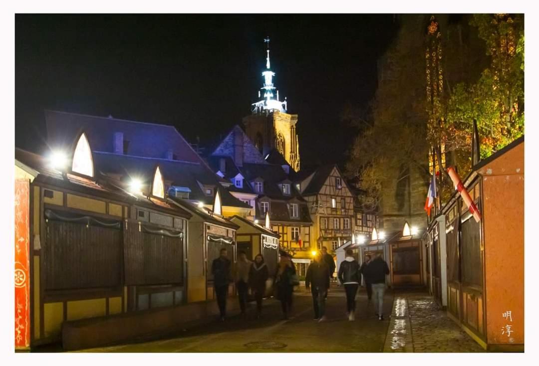 Coeur D'Alsace Colmar Vignobles Ouest Avec Terrasses Villa Винценайм Екстериор снимка